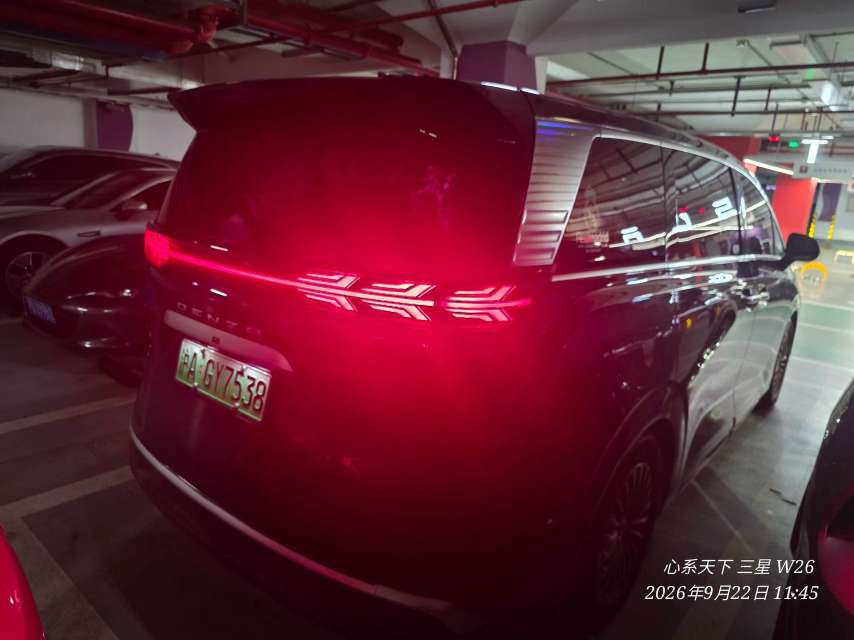 Denza D9 1.5T Premium Edition 9