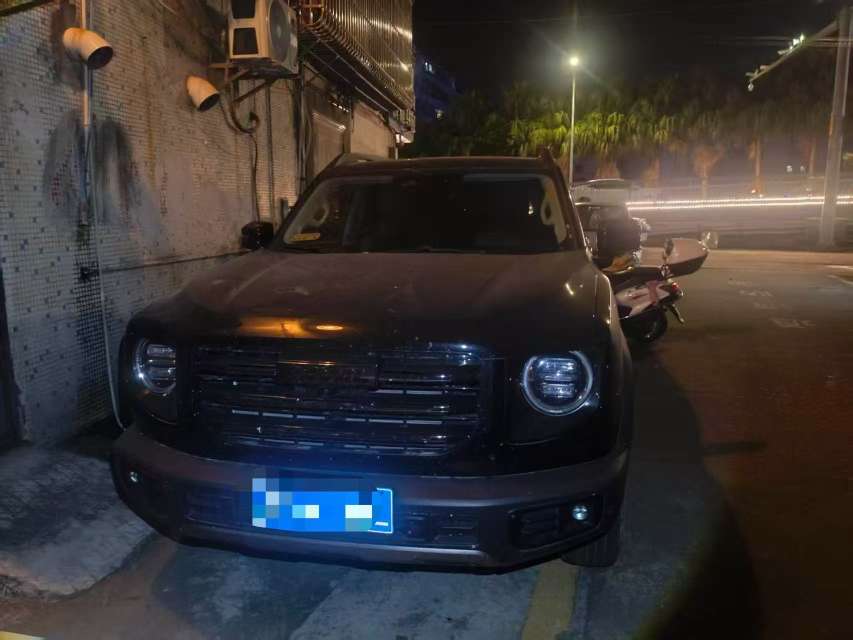 Haval Big Dog 2022 1.5T DCT 2WD Border Collie Edition