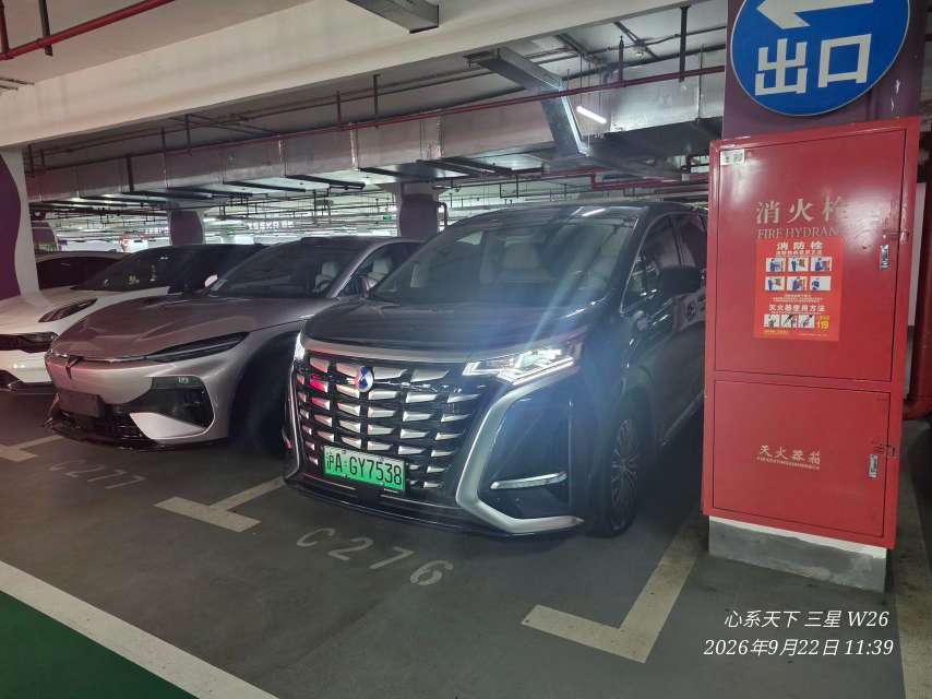 Denza D9 1.5T Premium Edition