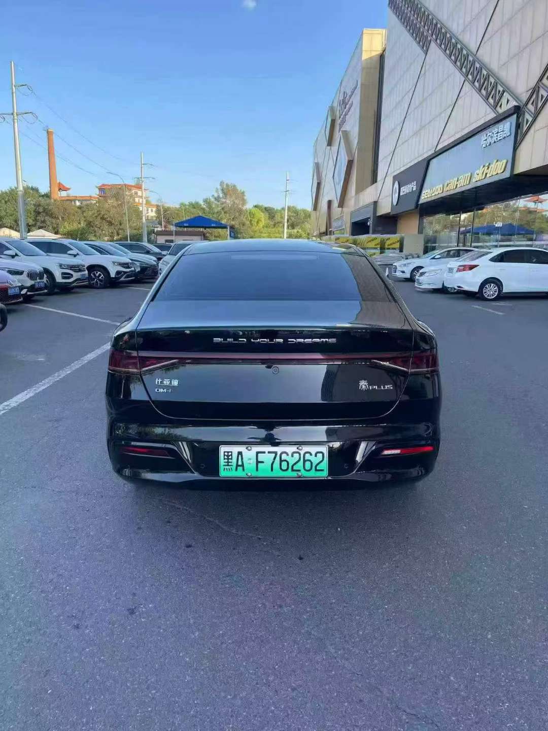 BYD Qin Plus 2024 55KM Electric Version 6