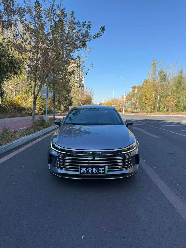 BYD Destroyer 05 2024 1.5 Hybrid 55km