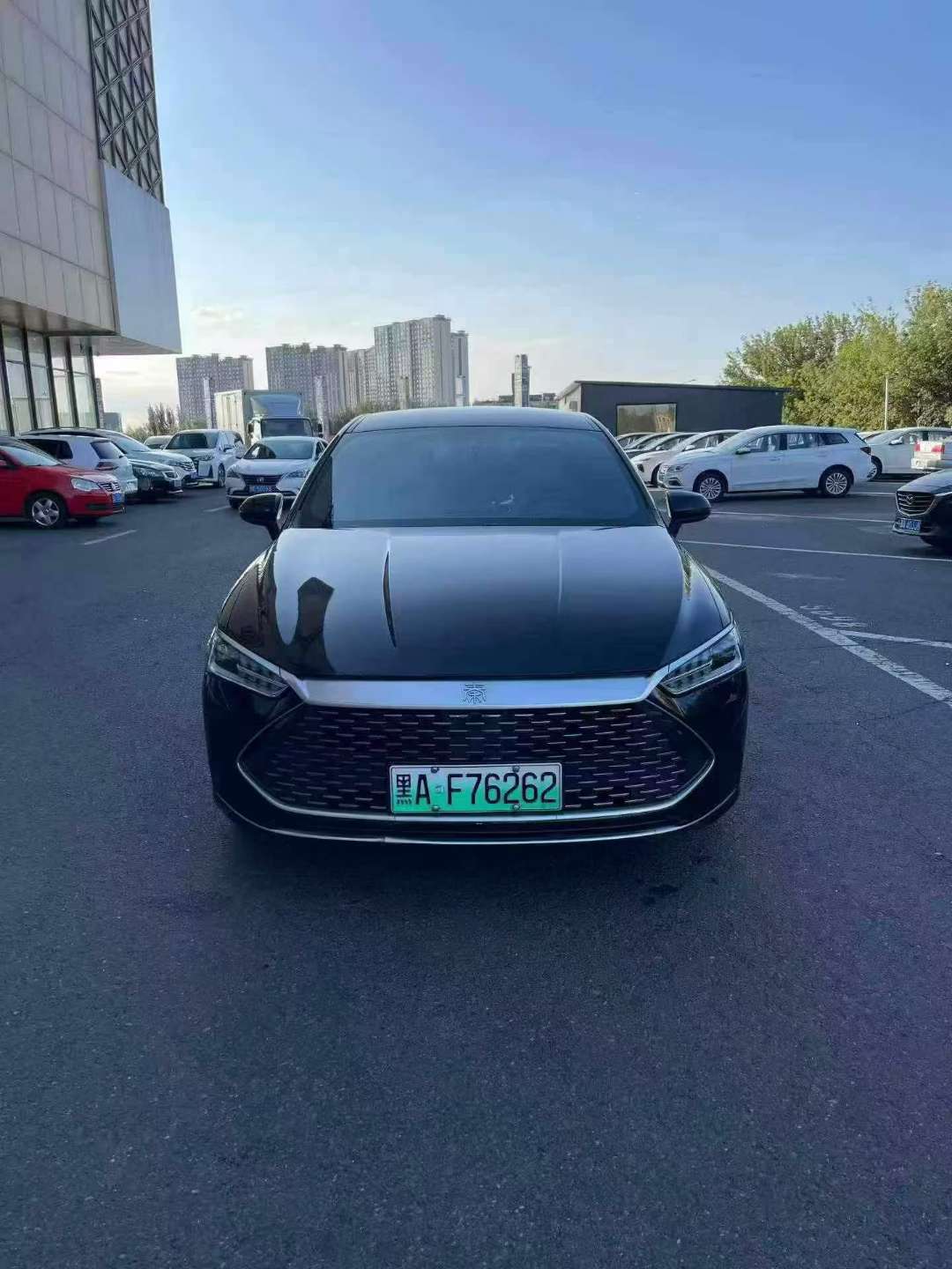 BYD Qin Plus 2024 55KM Electric Version