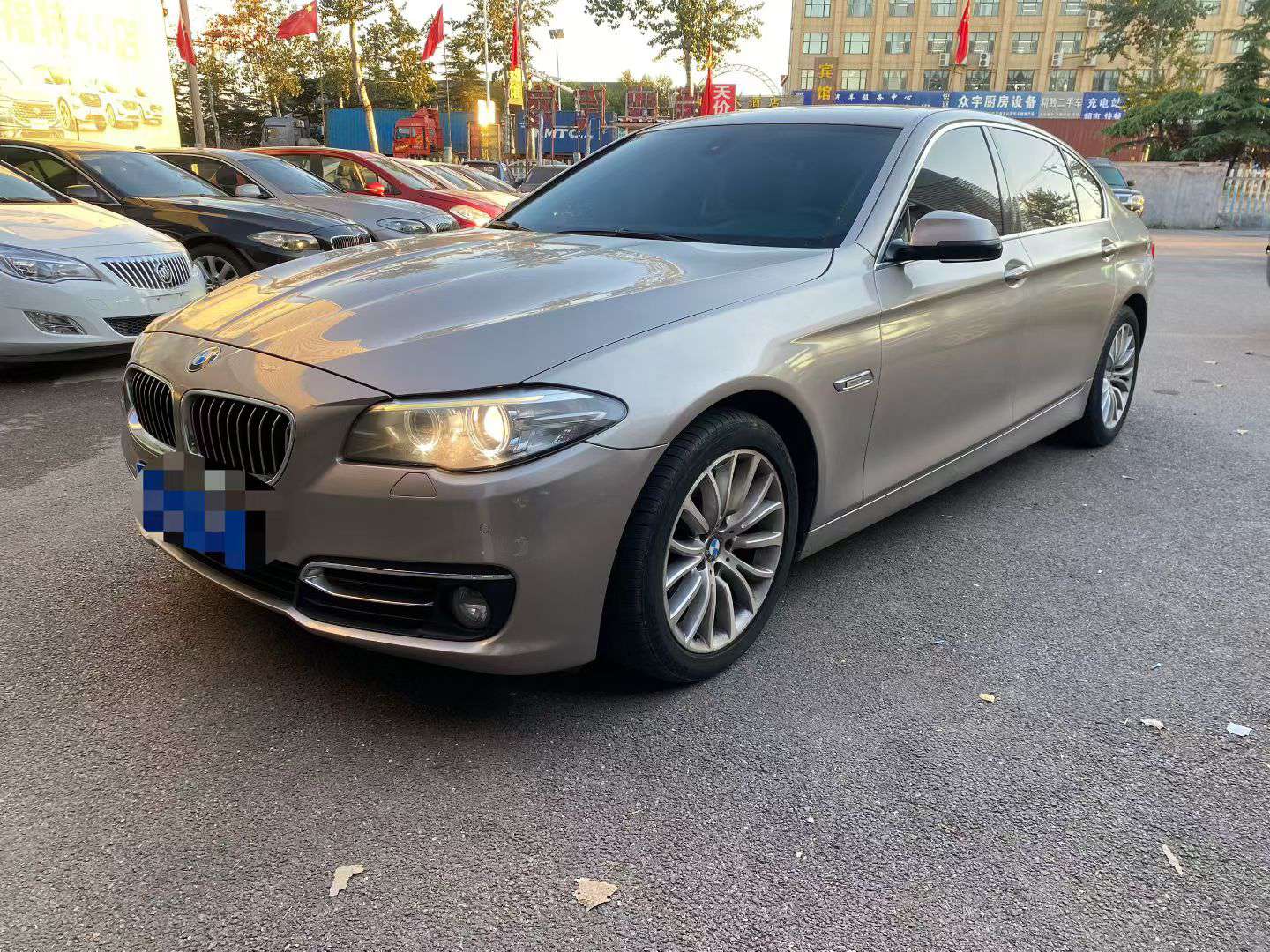 BMW 5 Series 2016 2.0T Luxury Design Package 3