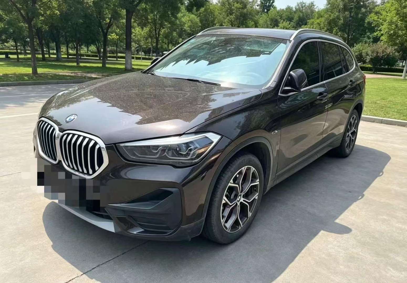 BMW X1 2.0T Leading 3