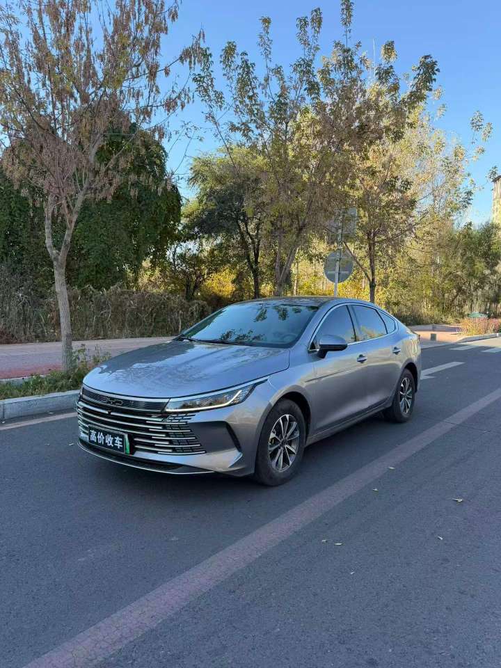 BYD Destroyer 05 2024 1.5 Hybrid 55km 2