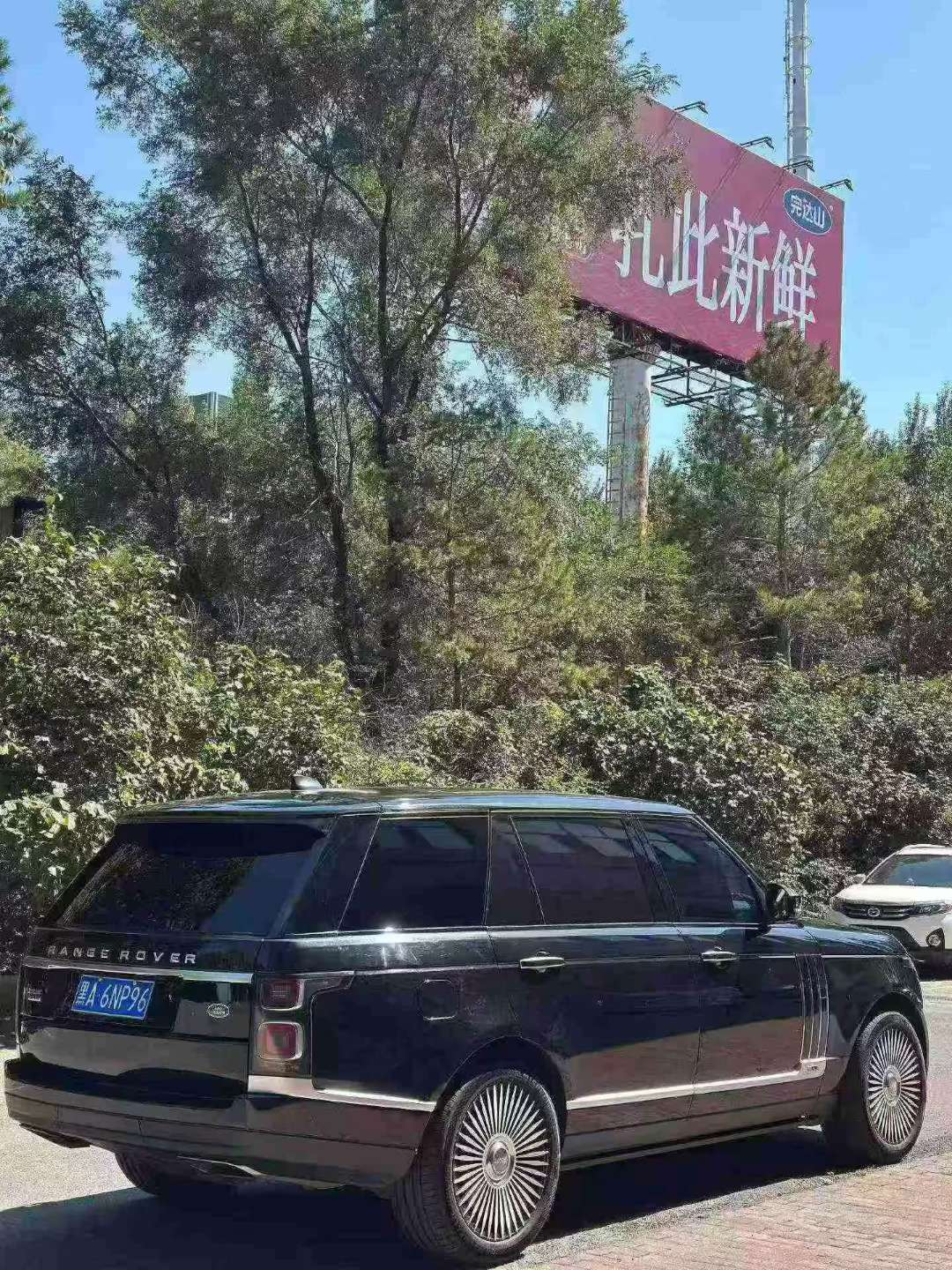Land Rover Range Rover Executive 2019 Classic Extended 3.0T 9