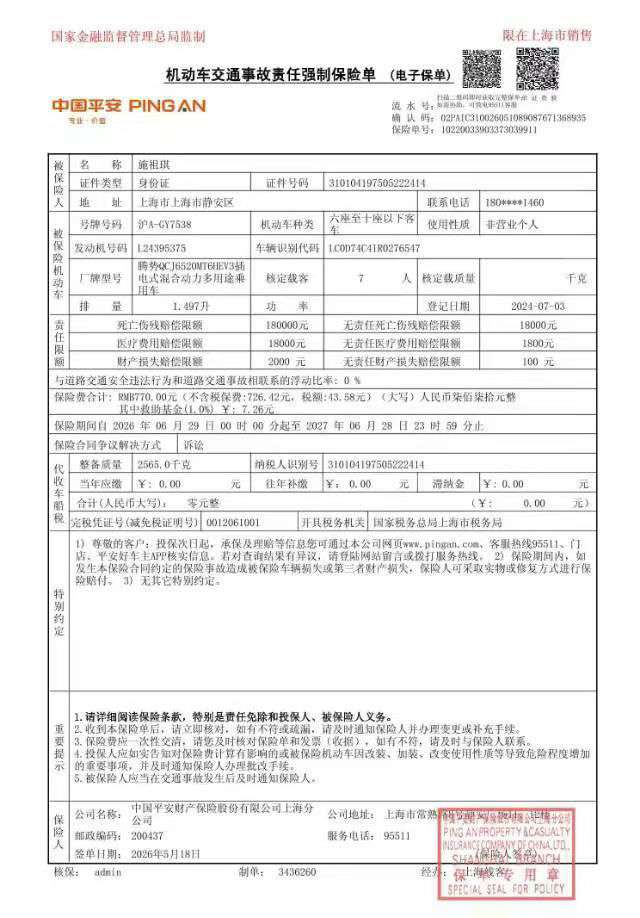 Denza D9 1.5T Premium Edition 7