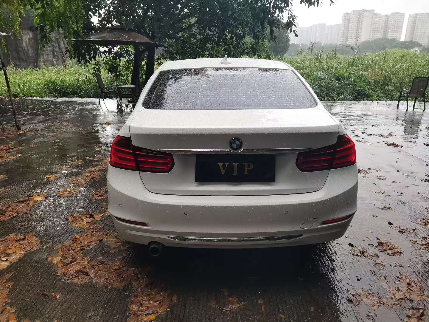 BMW 3 Series 316Li 4