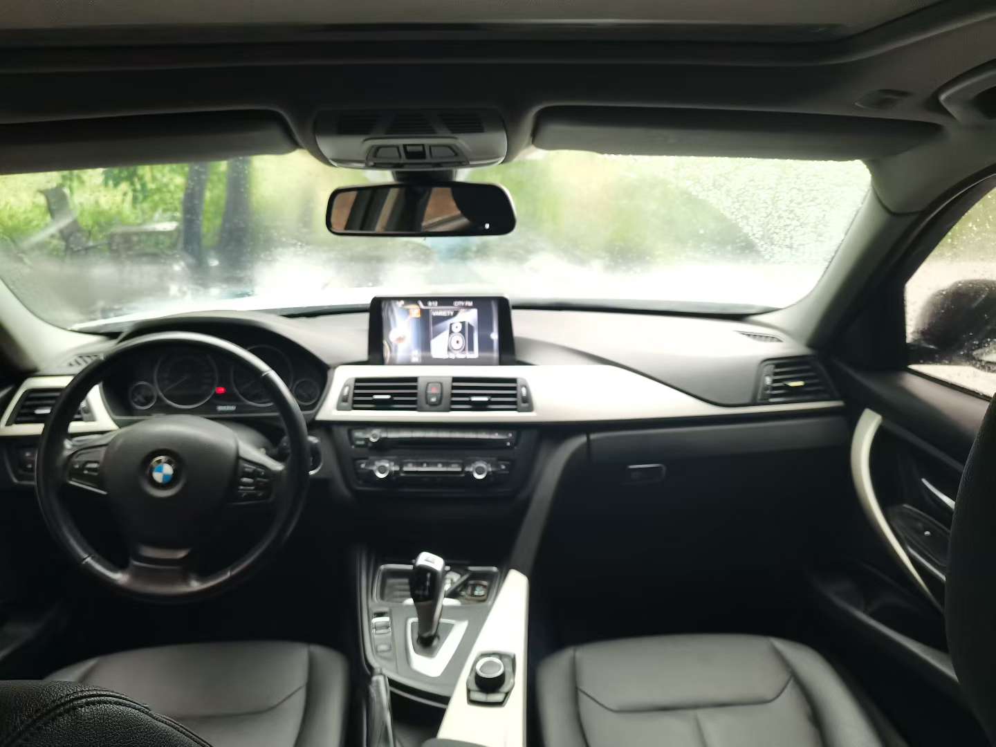 BMW 3 Series 316Li 8
