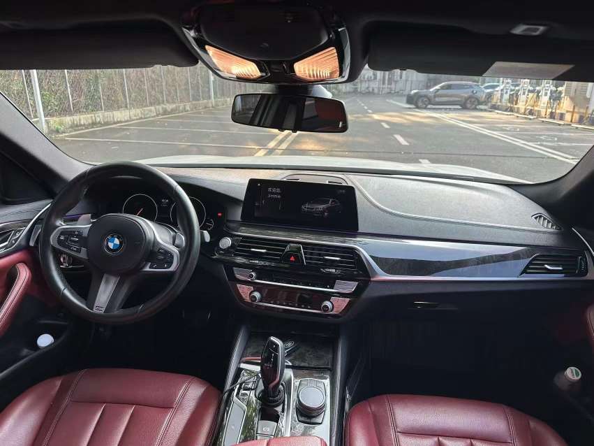 BMW 5 Series 2.0T Leading M Sport Package 5