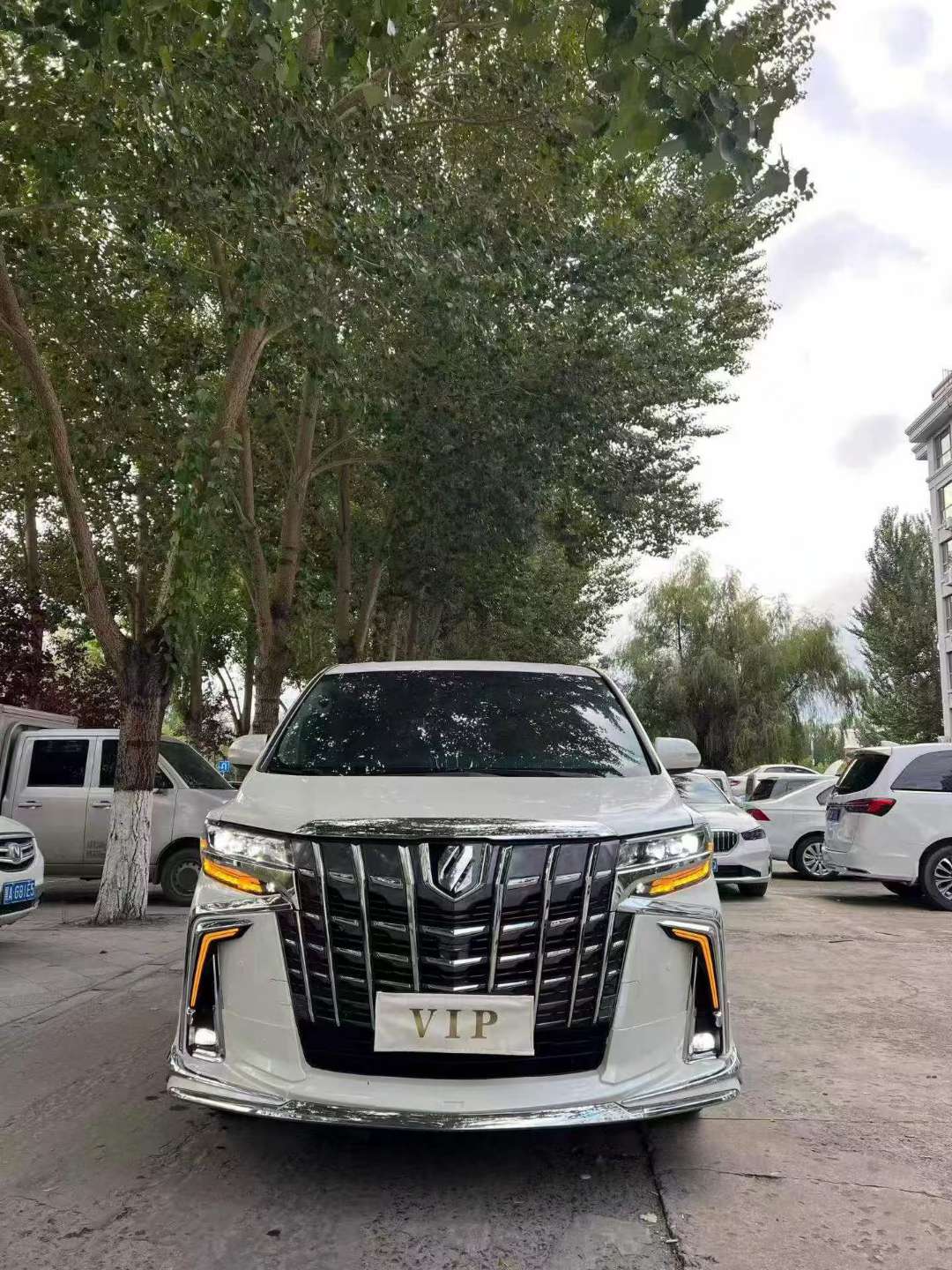 Toyota Alphard 2