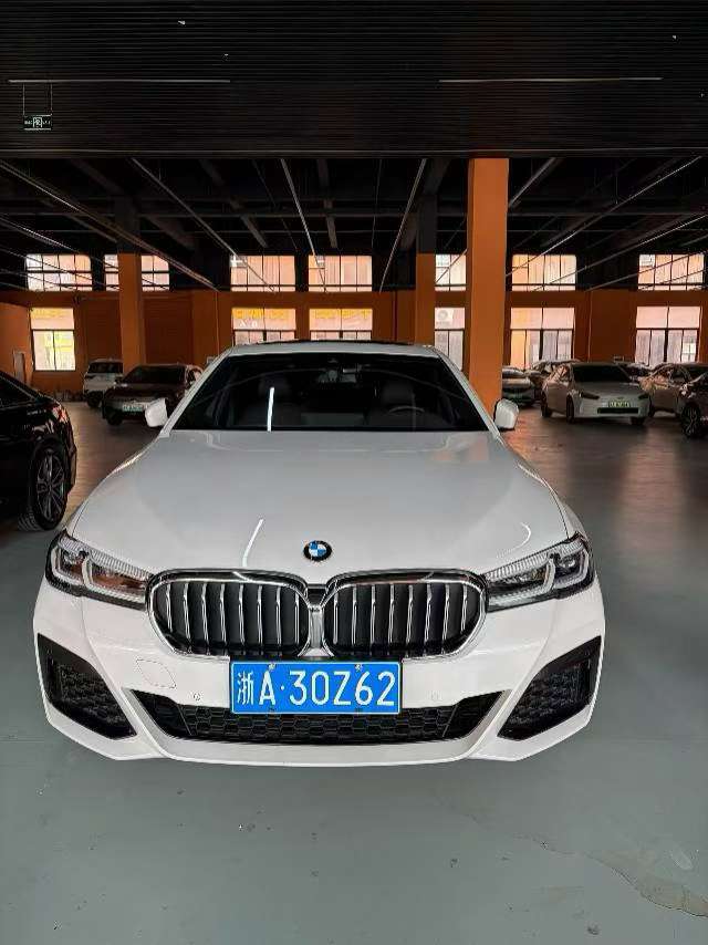 BMW 5 Series 530Li Leading M Sport Package 3