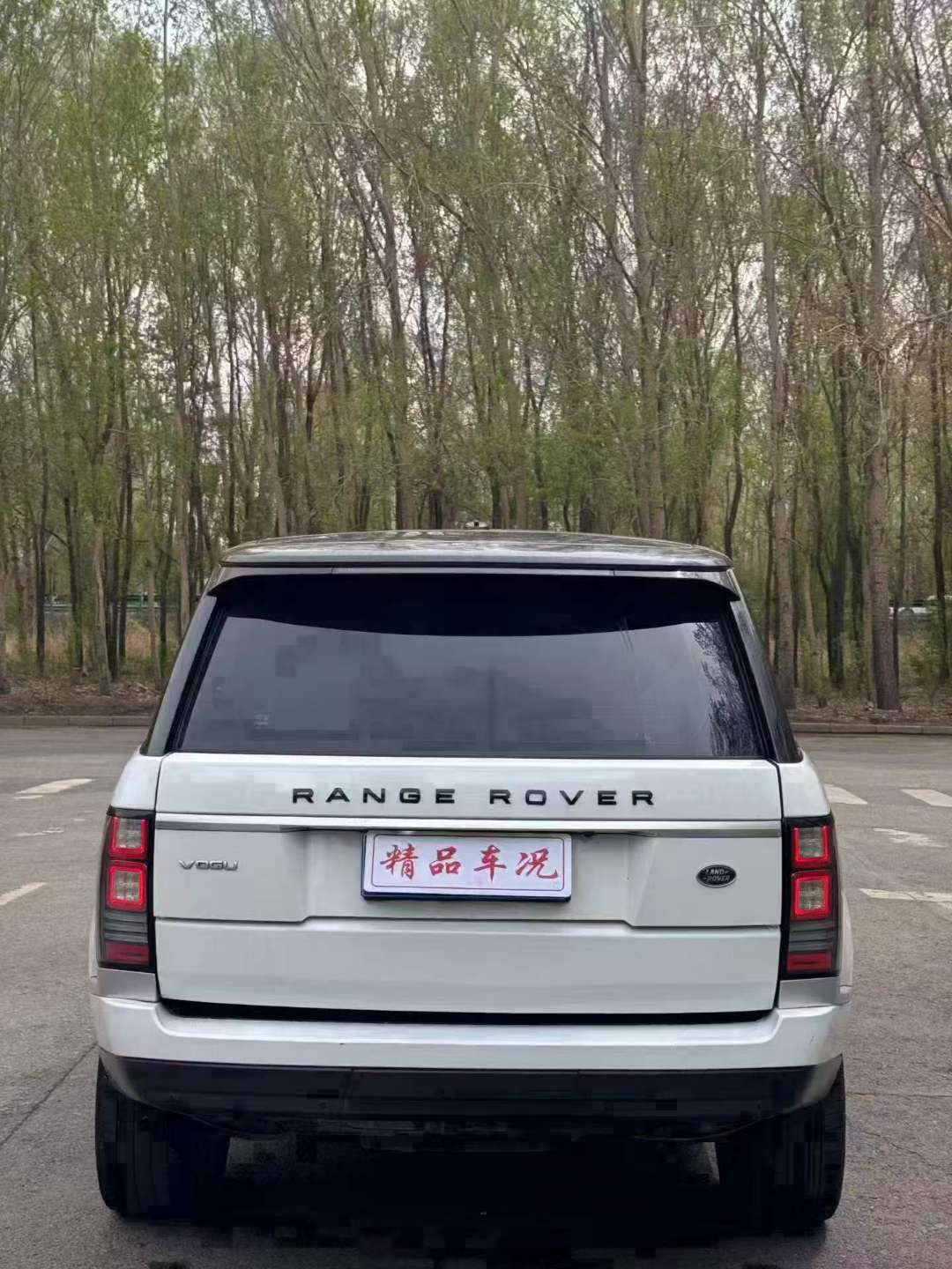 Land Rover Range Rover Executive 3.0T Diesel 9