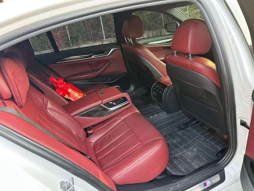 BMW 5 Series 2.0T Leading M Sport Package 8