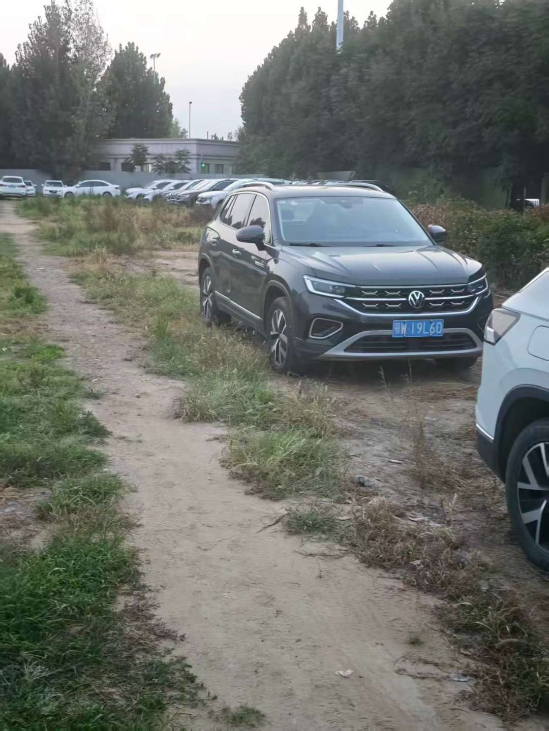 Volkswagen Tayron 3