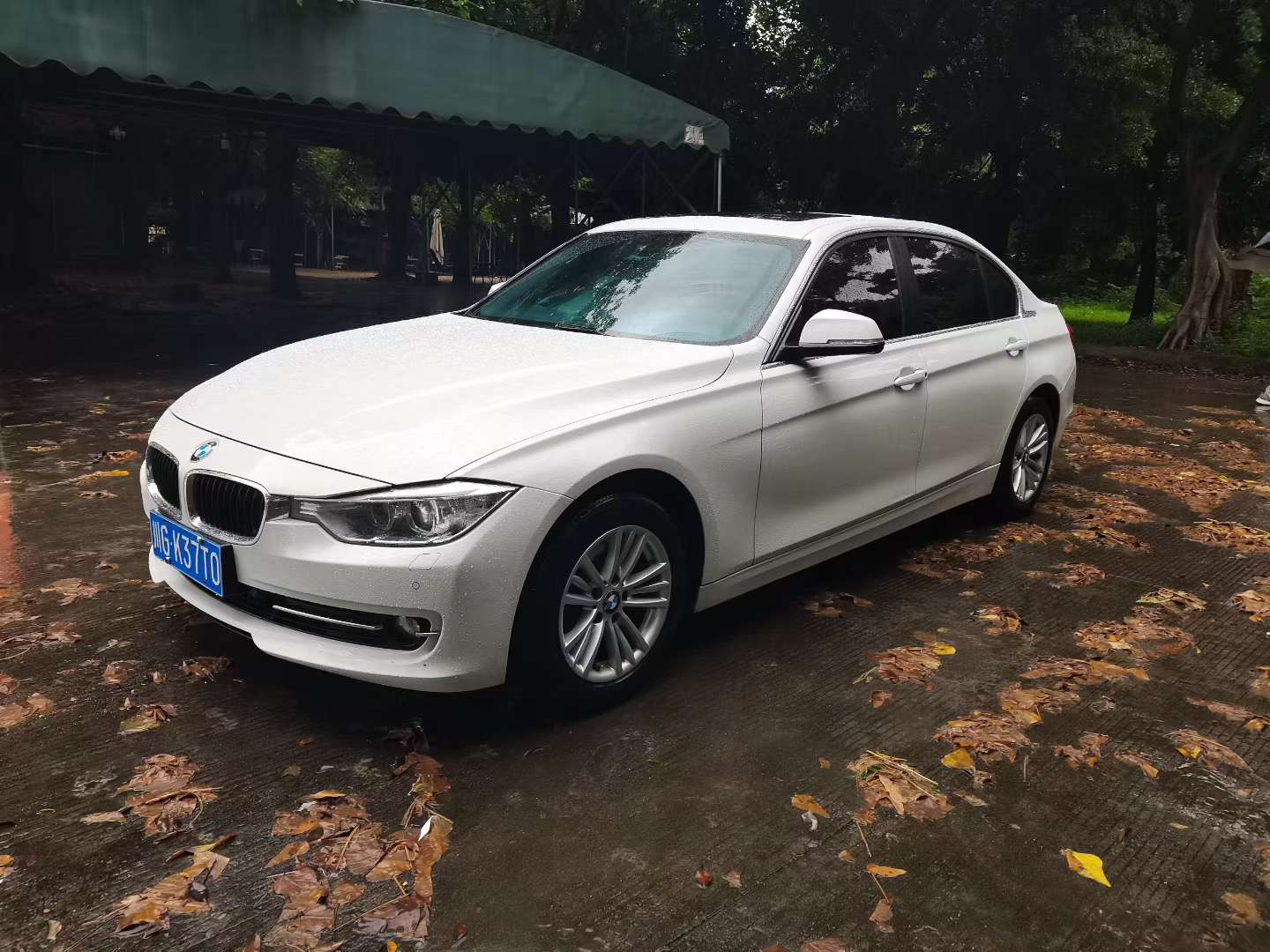 BMW 3 Series 316Li