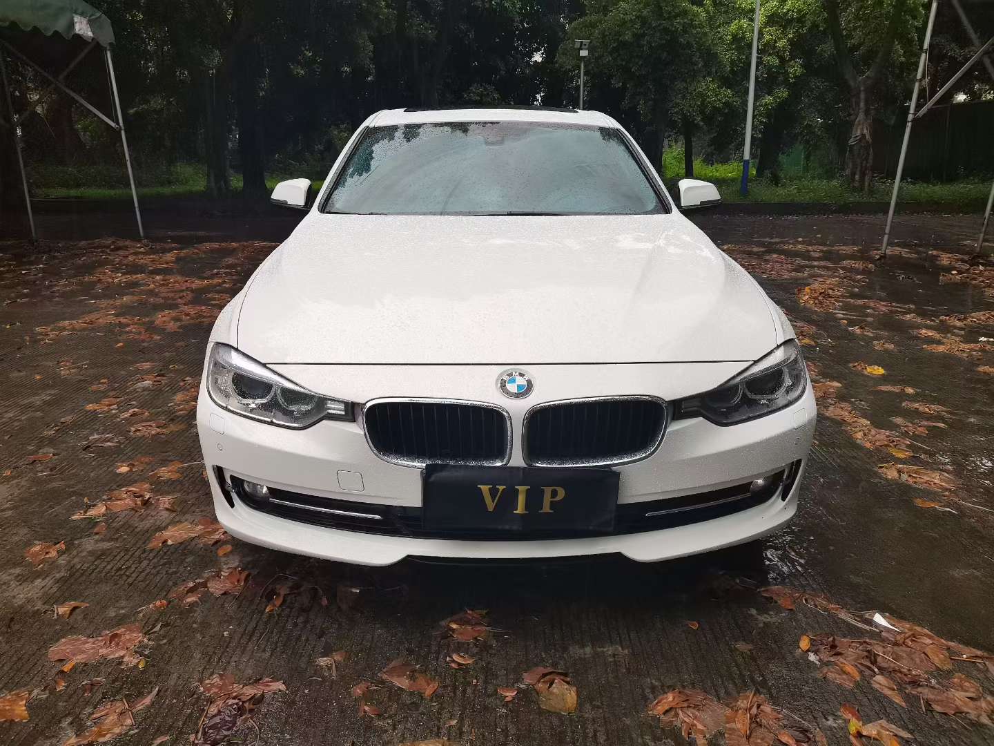 BMW 3 Series 316Li 2