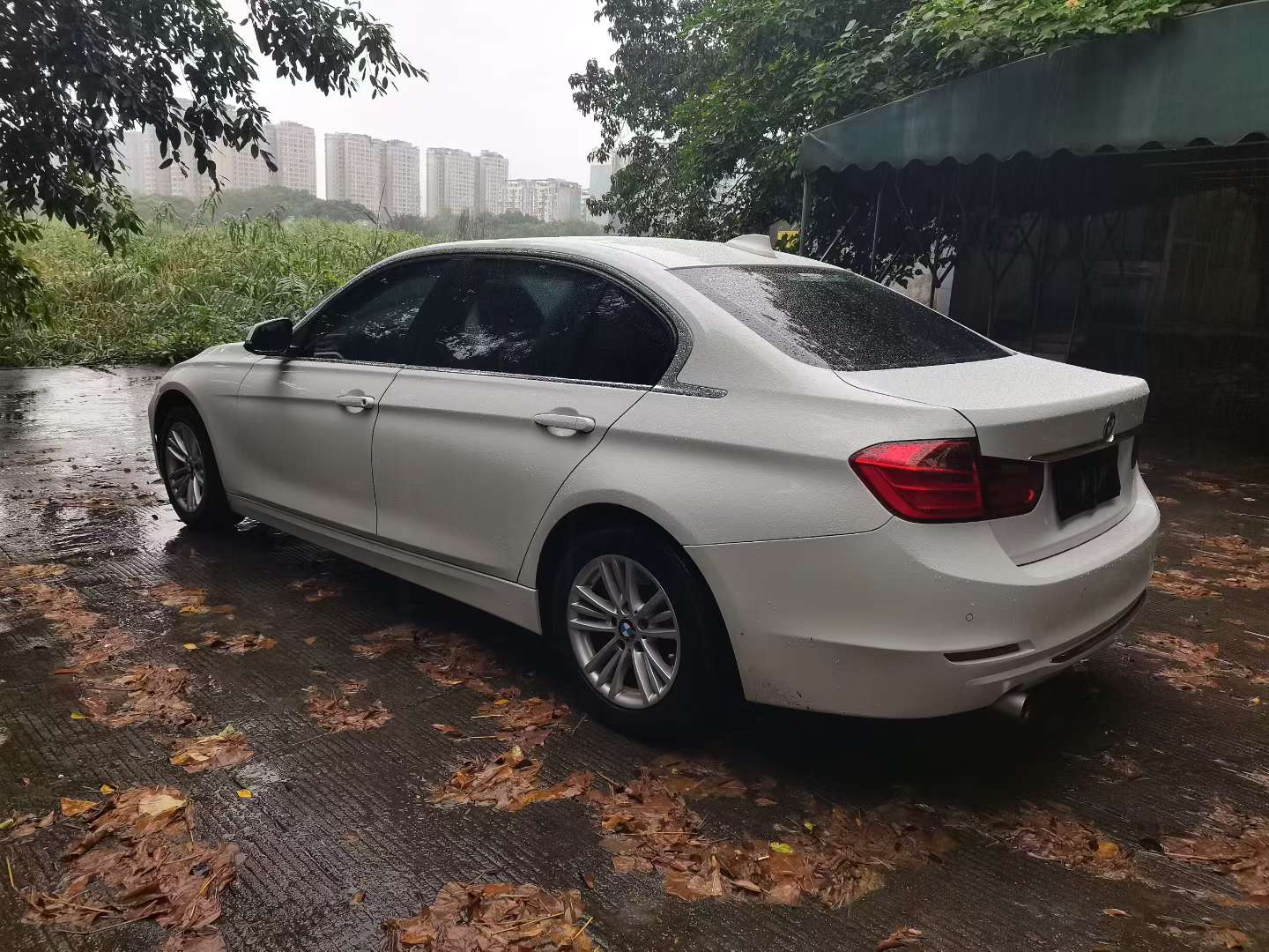 BMW 3 Series 316Li 3