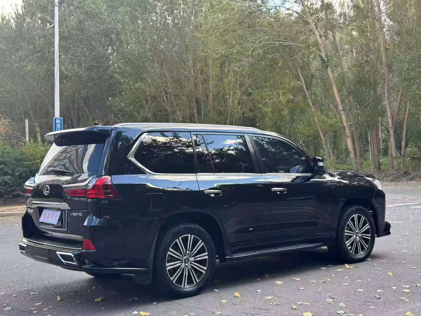 Lexus LX570 2010 5.7L V8 6