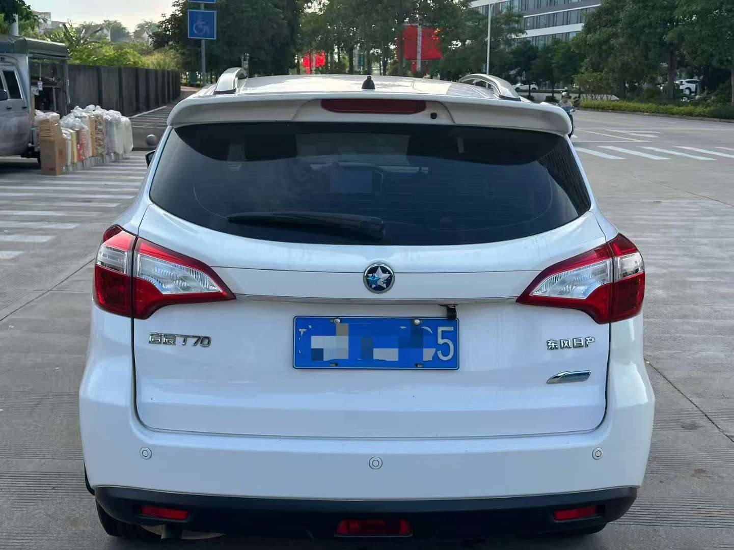 Venucia T70 2WD Rui Xing Edition 2
