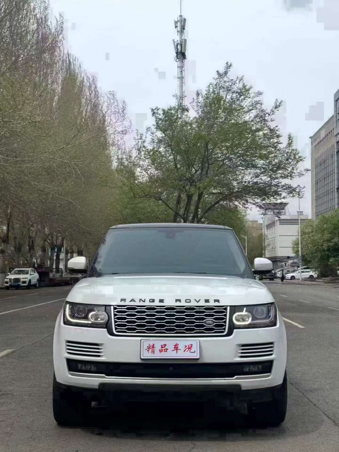 Land Rover Range Rover Executive 3.0T Diesel