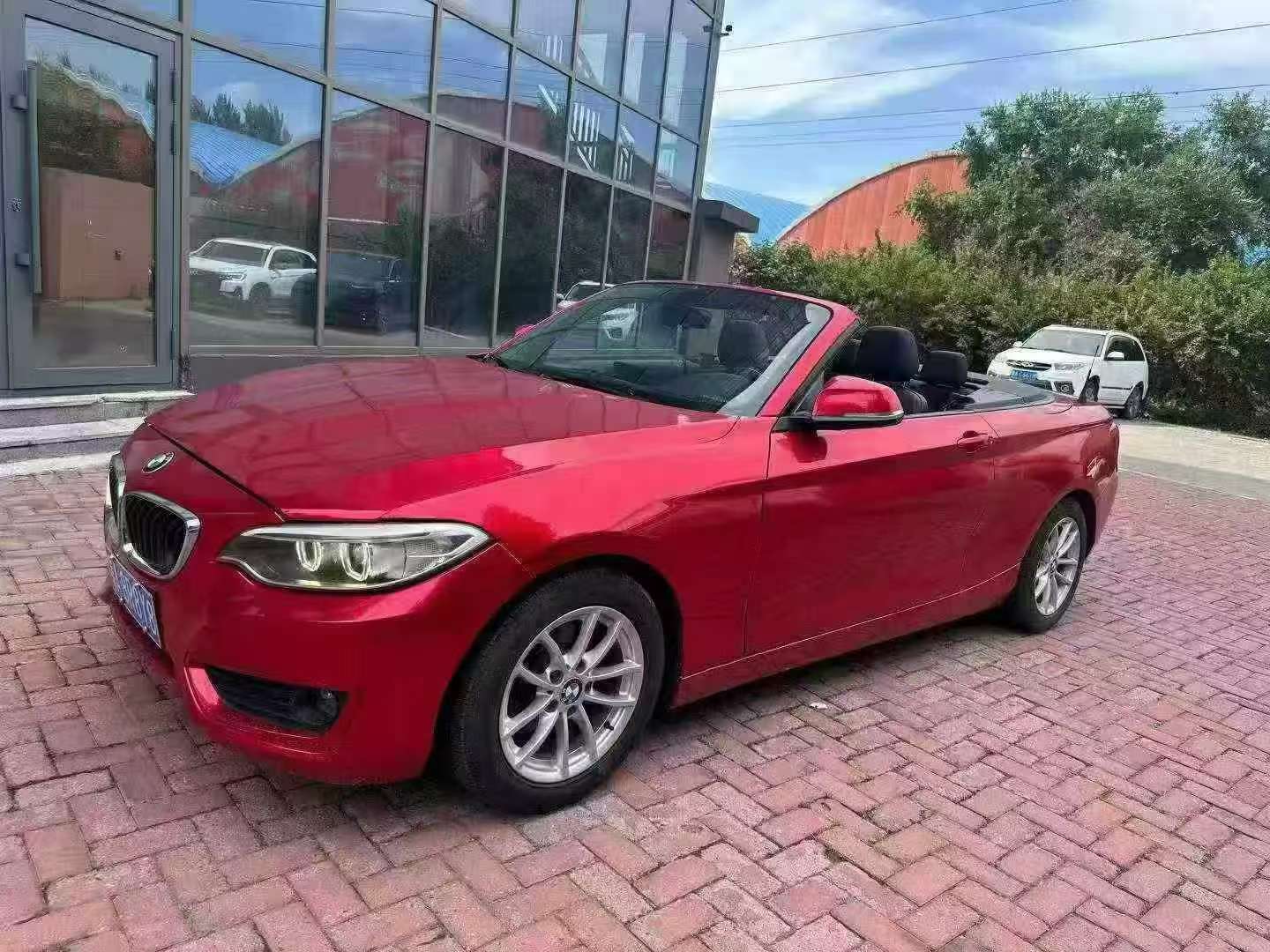 BMW 2 Series 218i Soft Top Convertible 2