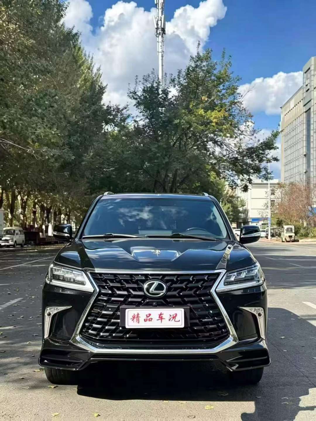 Lexus LX570 2010 5.7L V8