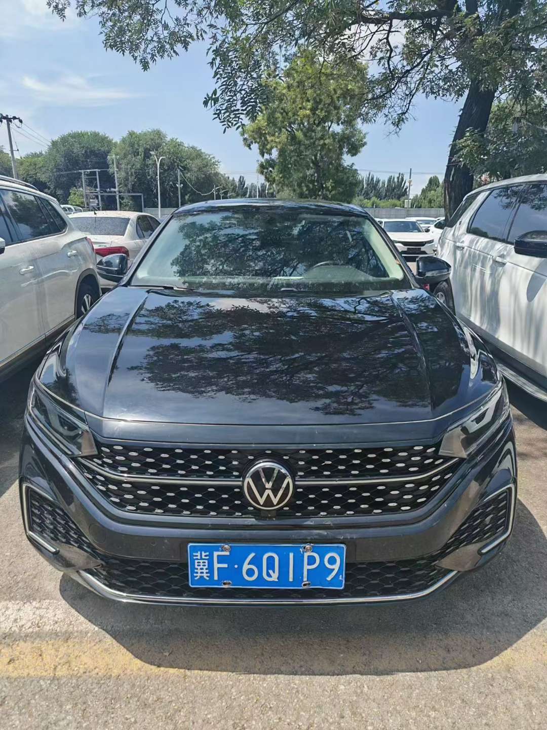 Volkswagen Passat 2.0T Starry Elite