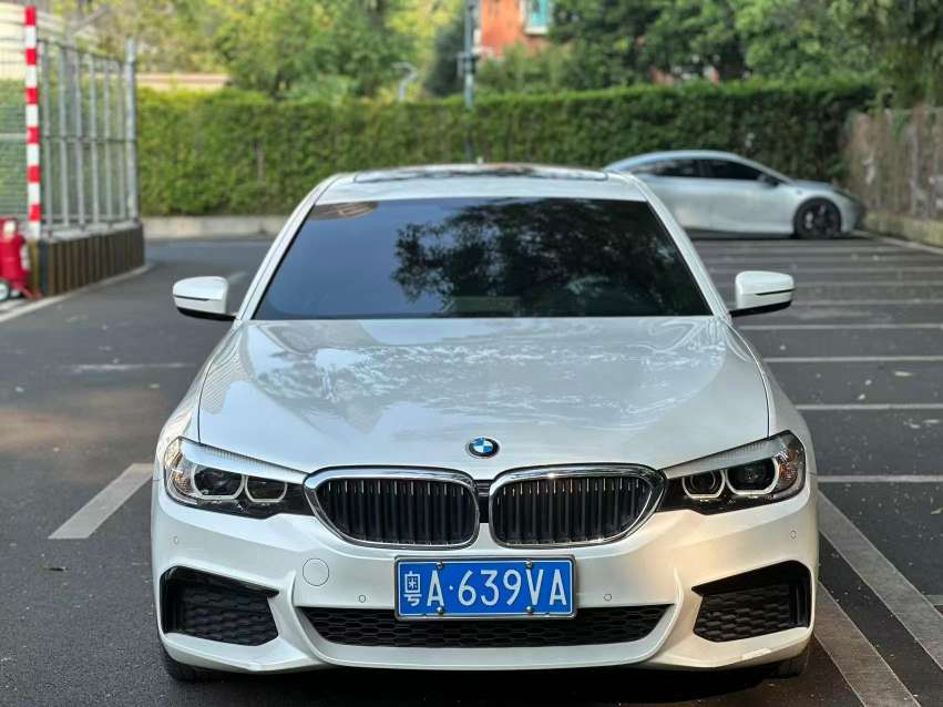 BMW 5 Series 2.0T Leading M Sport Package