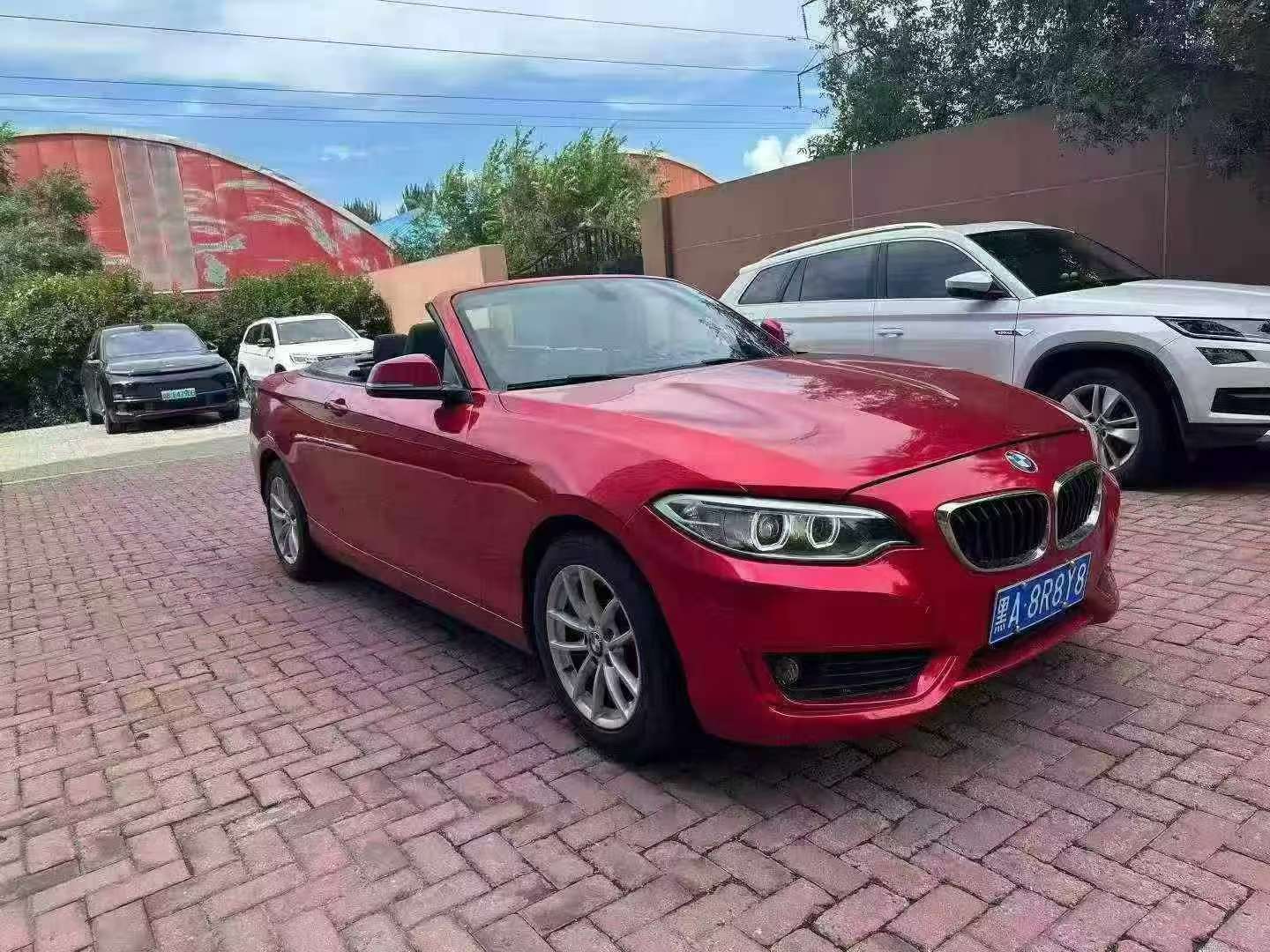 BMW 2 Series 218i Soft Top Convertible 3