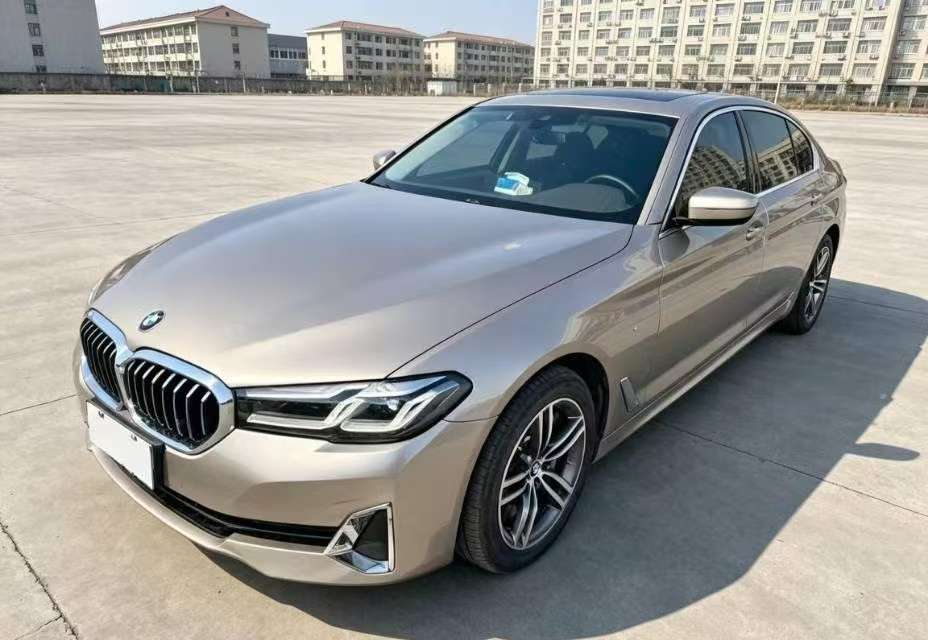 BMW 5 Series 530Li 2.0T Luxury Package 2