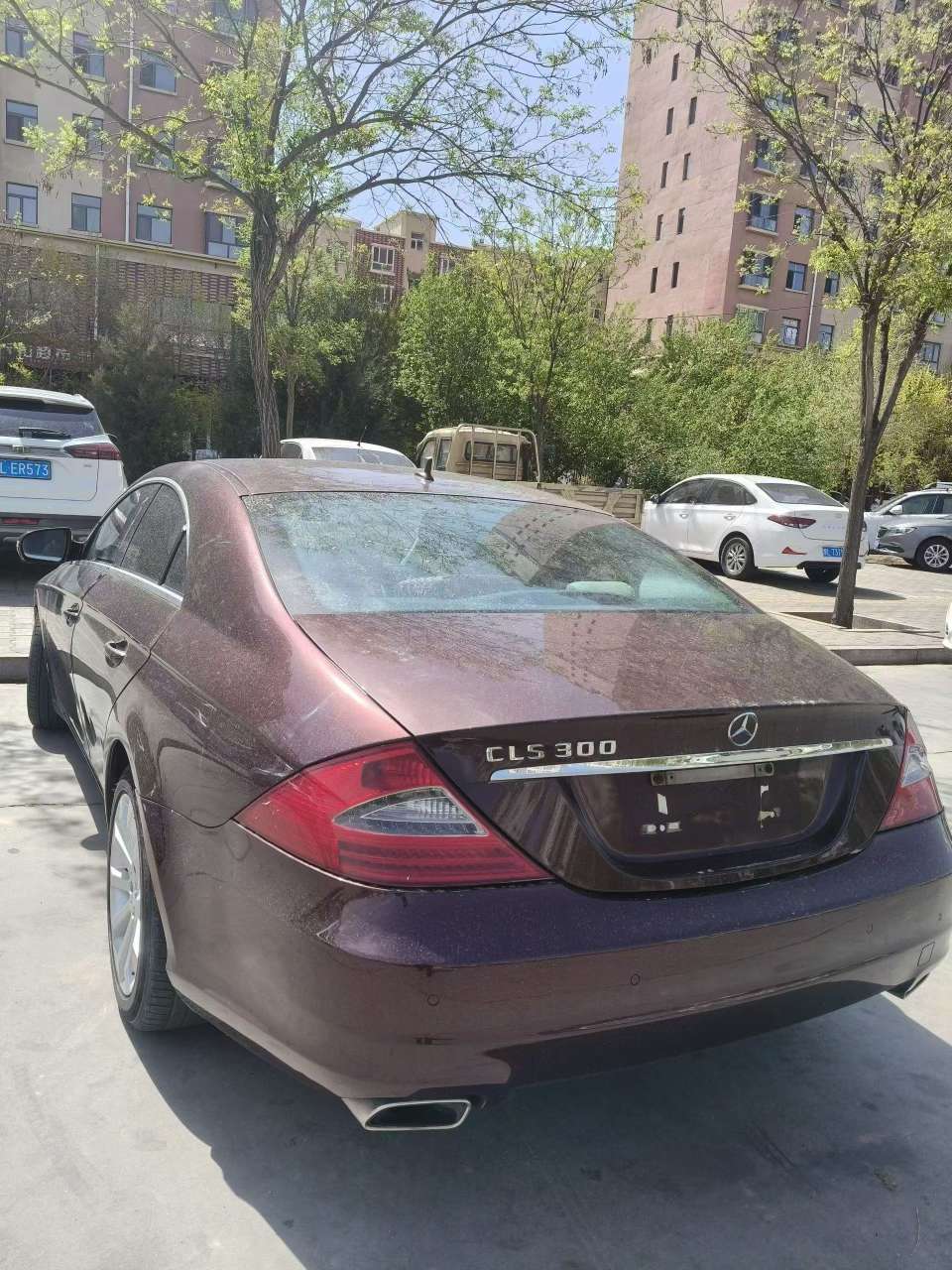 Mercedes-Benz CLS CLS300 5