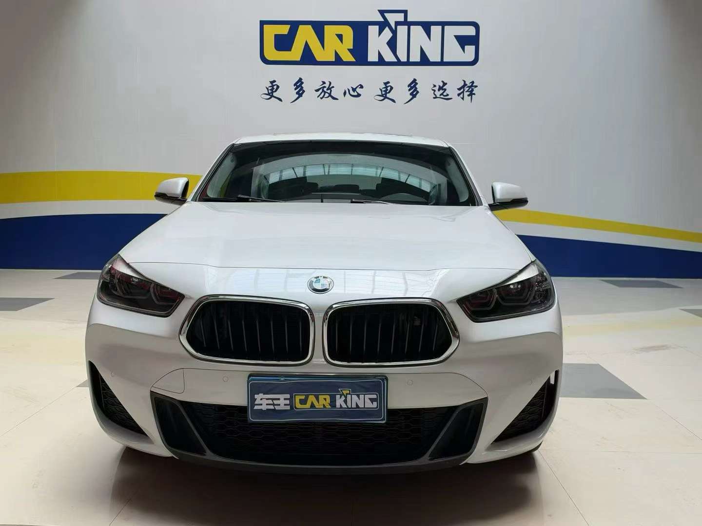 BMW X2 25i Leading M Sport