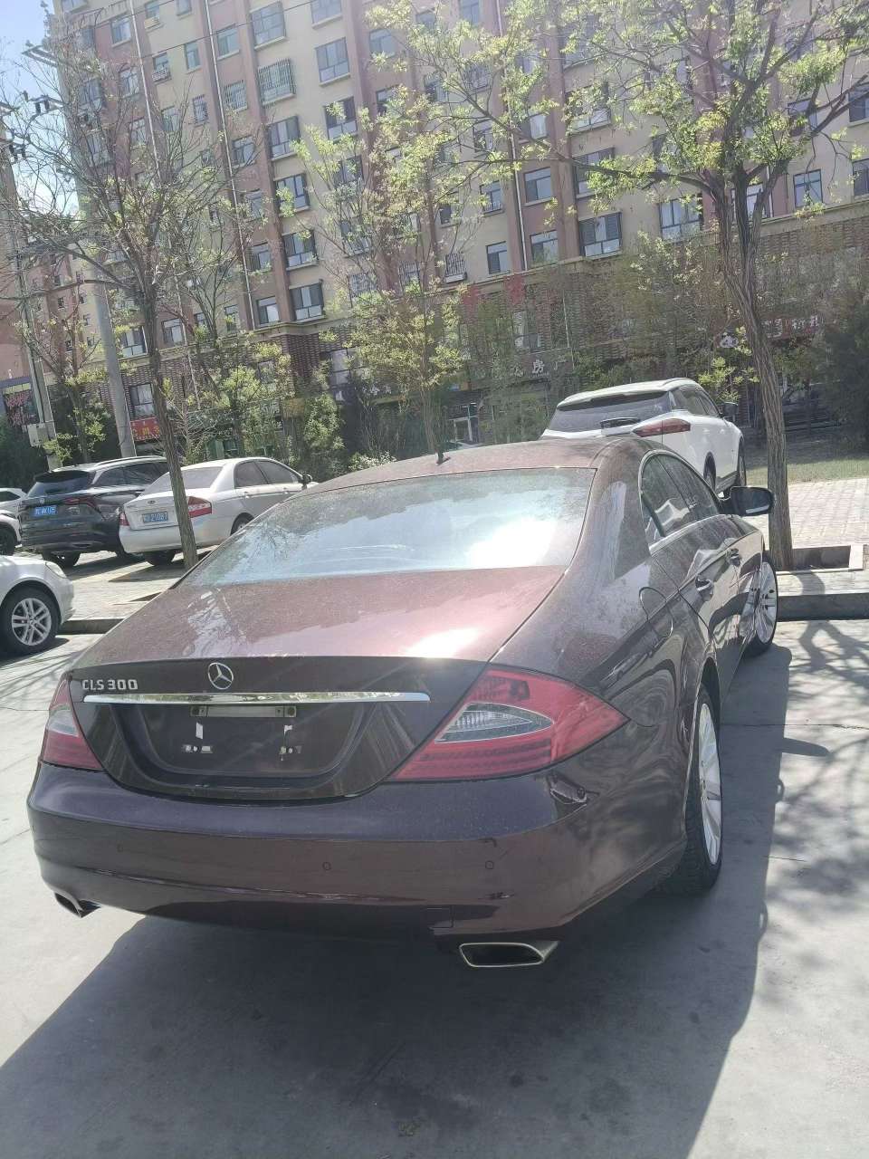 Mercedes-Benz CLS CLS300 6