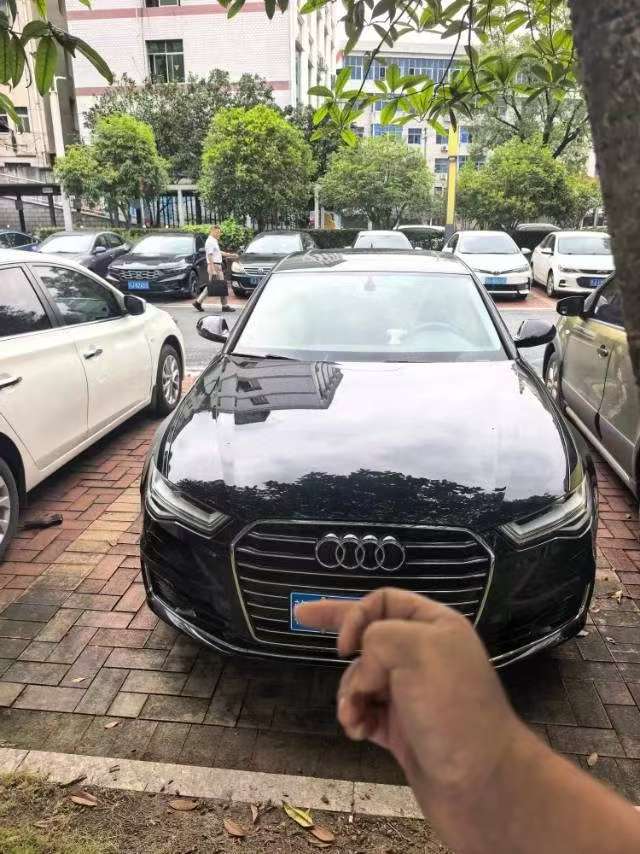 Audi A6L 1.8T 30th Anniversary Advance Edition 2