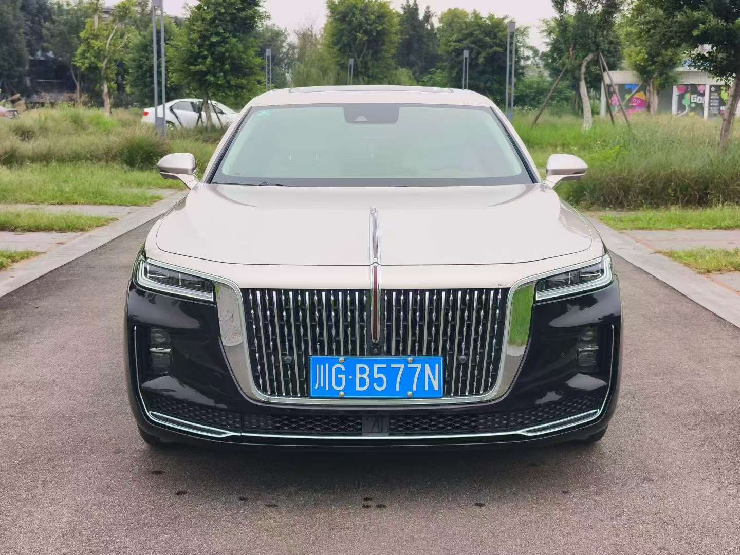 Hongqi H9 2020 3.0T Intelligent Connected Flagship Four-Seater 2