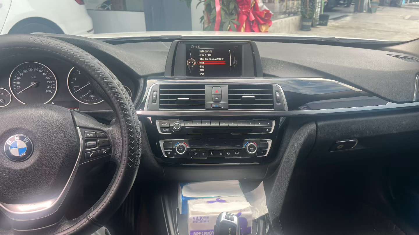 BMW 3 Series 320Li 2