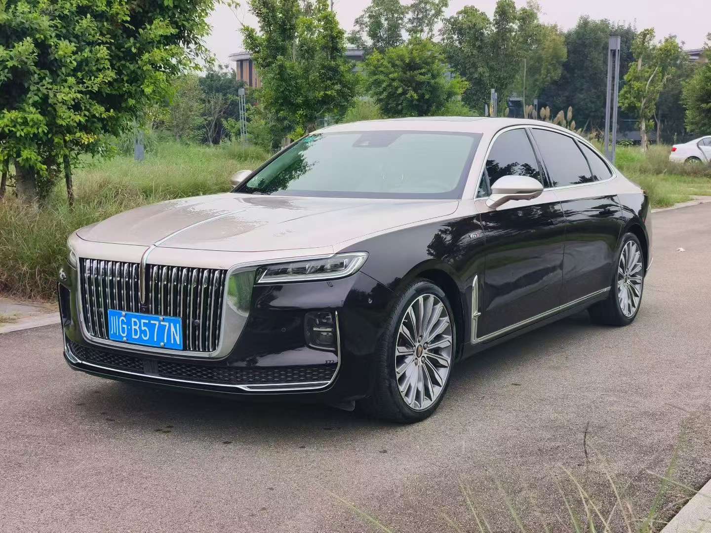 Hongqi H9 2020 3.0T Intelligent Connected Flagship Four-Seater