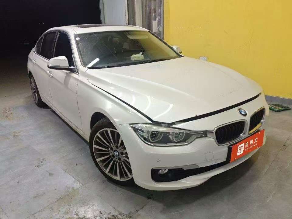 BMW 3 Series 320Li 2.0T Sport 2