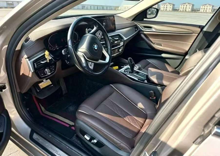BMW 5 Series 530Li 2.0T Luxury Package 5
