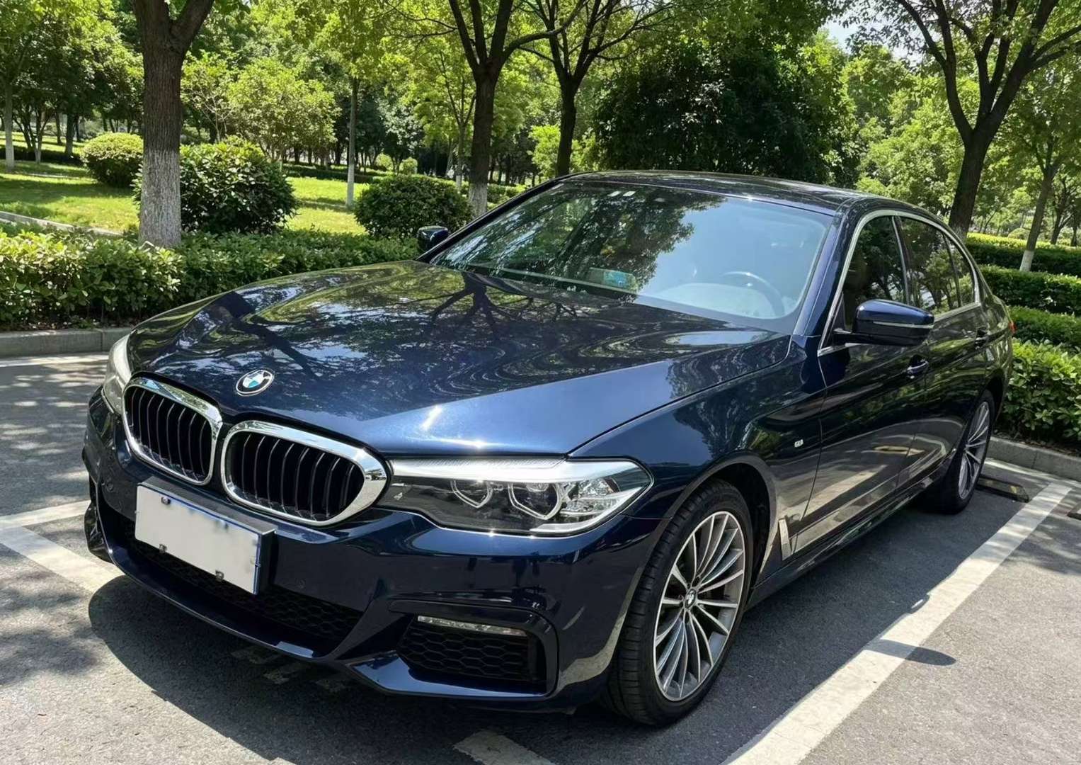 BMW 5 Series 525Li 2.0T M Sport Package 2