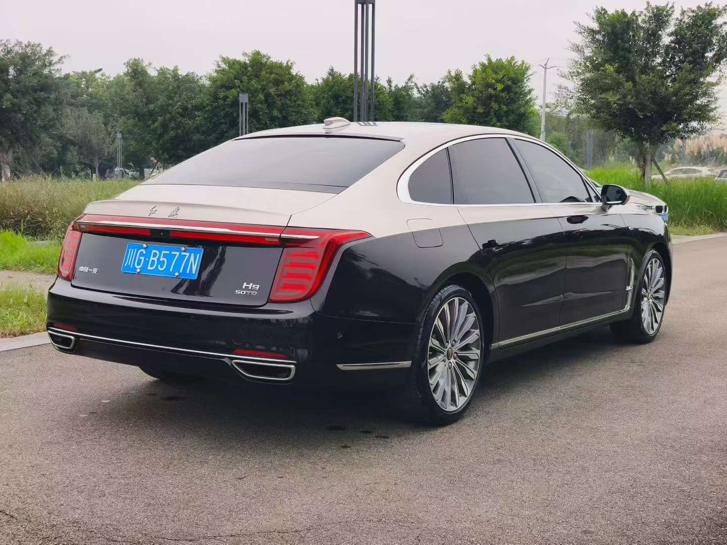 Hongqi H9 2020 3.0T Intelligent Connected Flagship Four-Seater 9