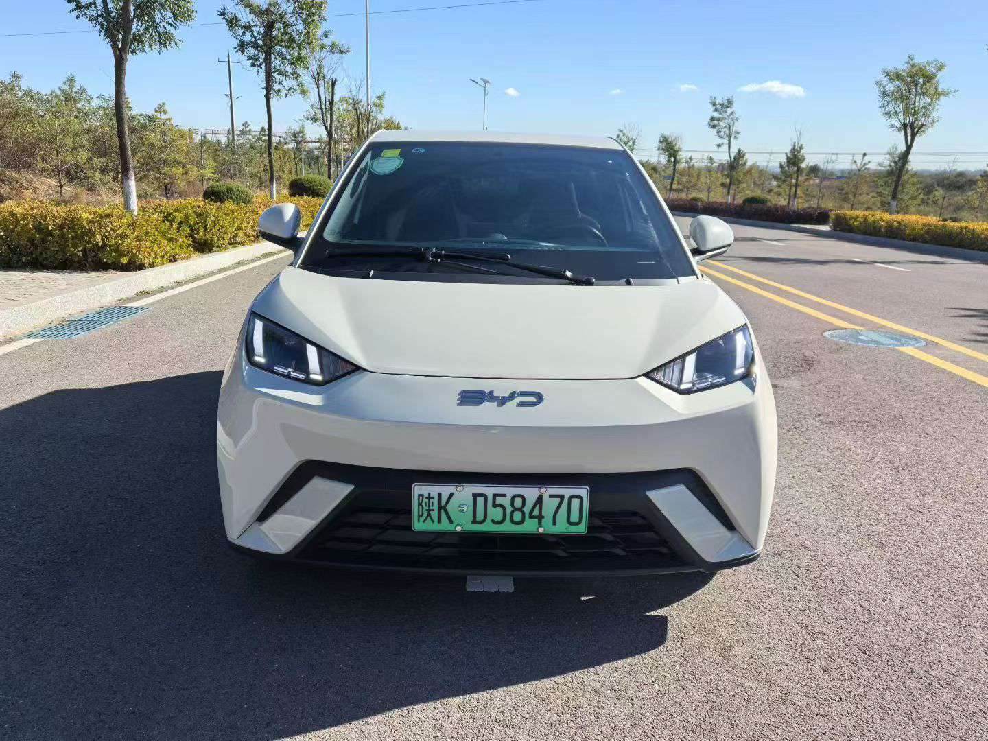 BYD Seagull