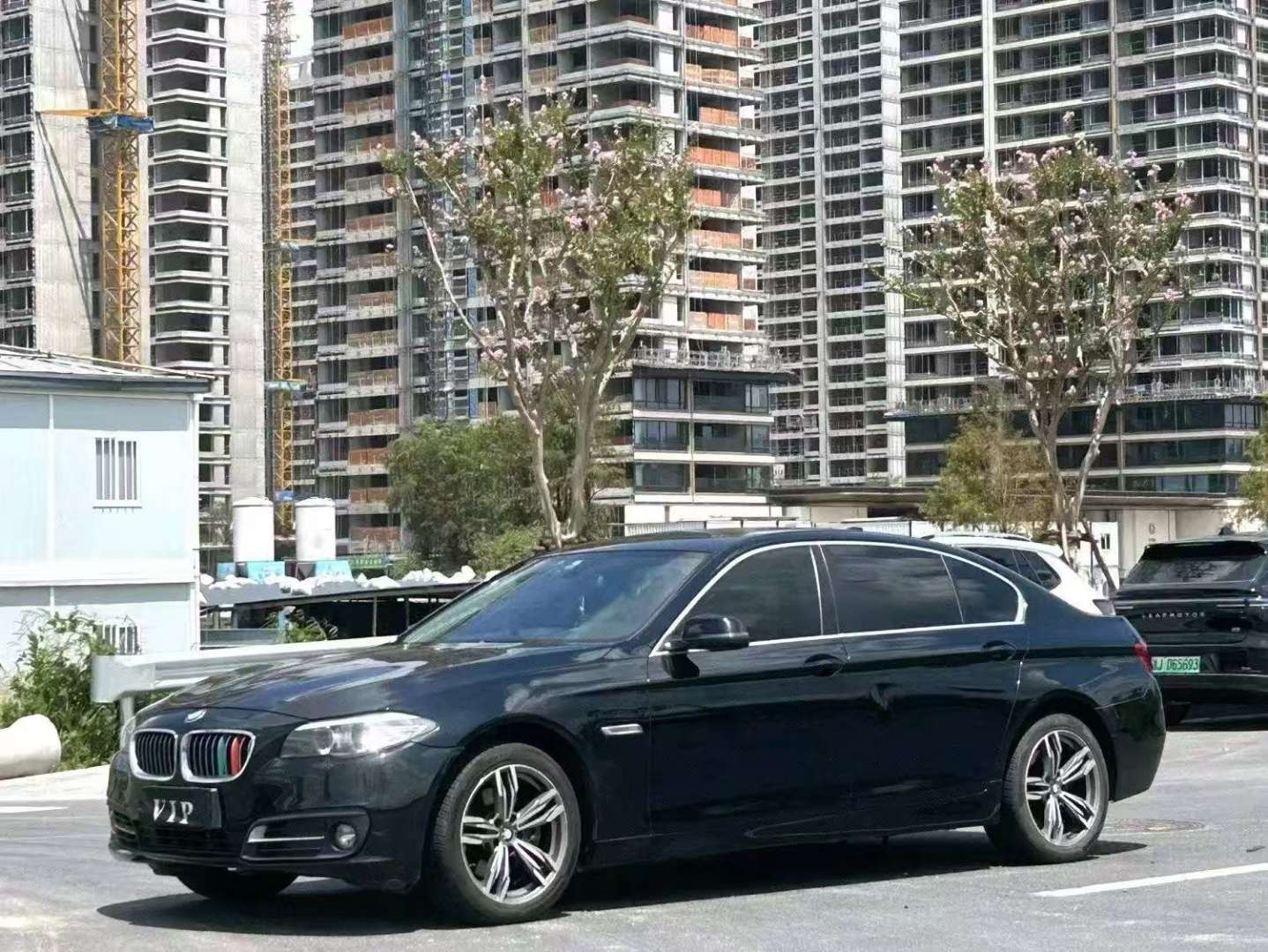BMW 5 Series 525Li 2.0T Leading 2