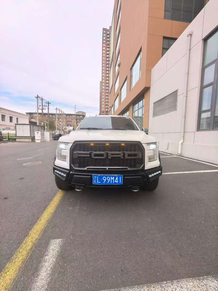 Ford F150 Platinum Edition 2