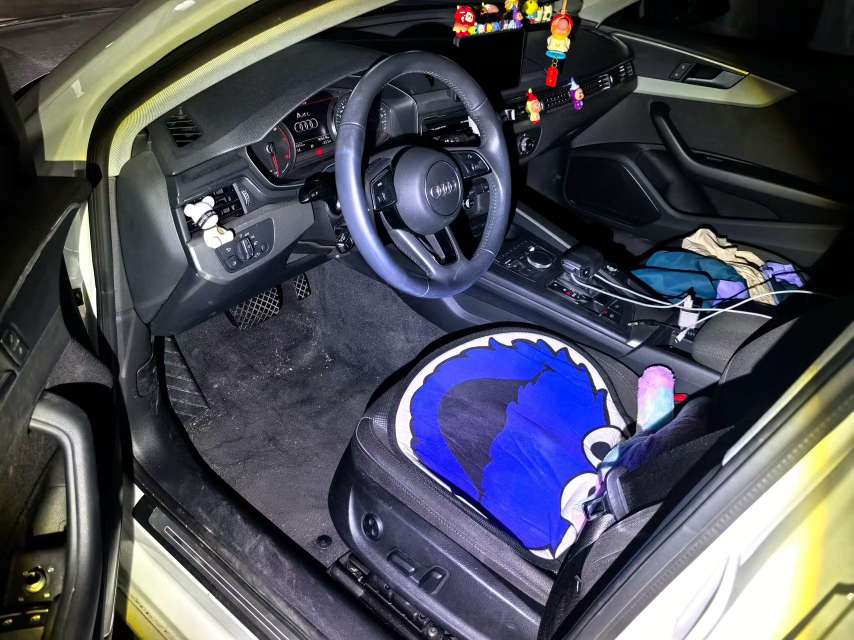 Audi A4L 2.0T Progress Edition 3