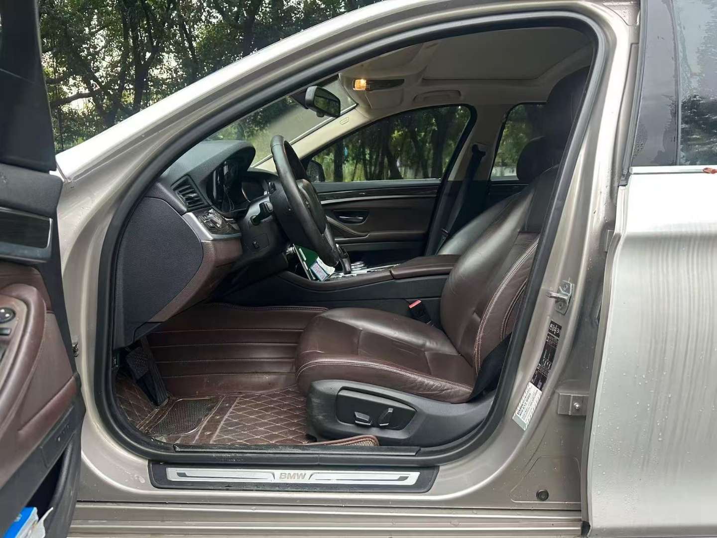 BMW 5 Series 2.0T Luxury Design Package 5