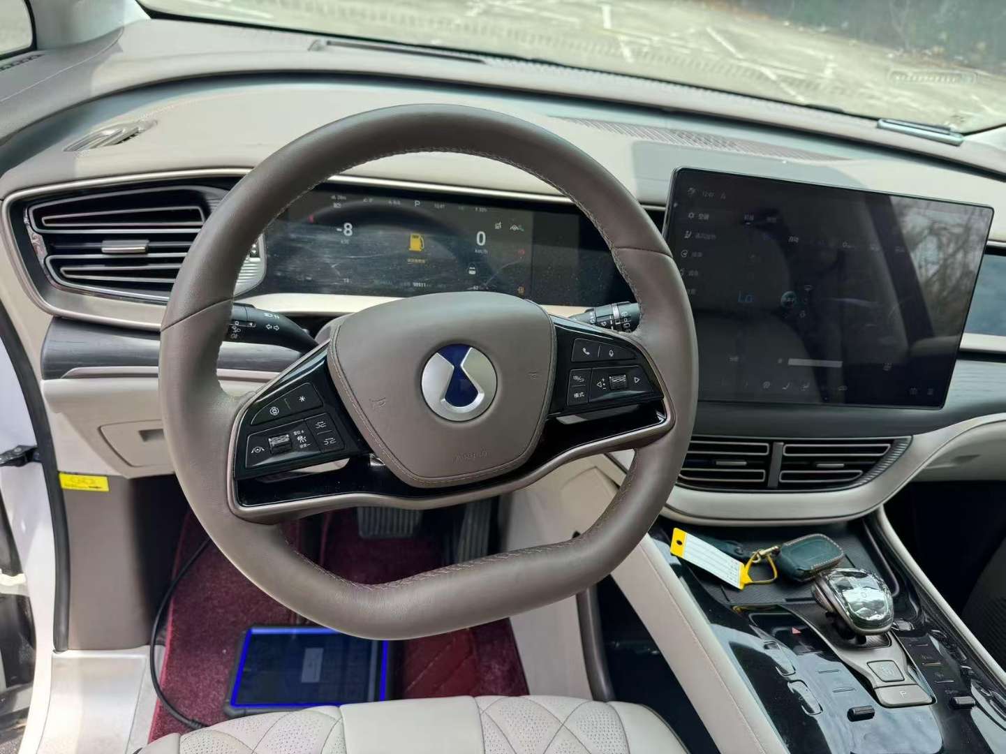 Denza D9 1.5T AWD Flagship Top Trim 5