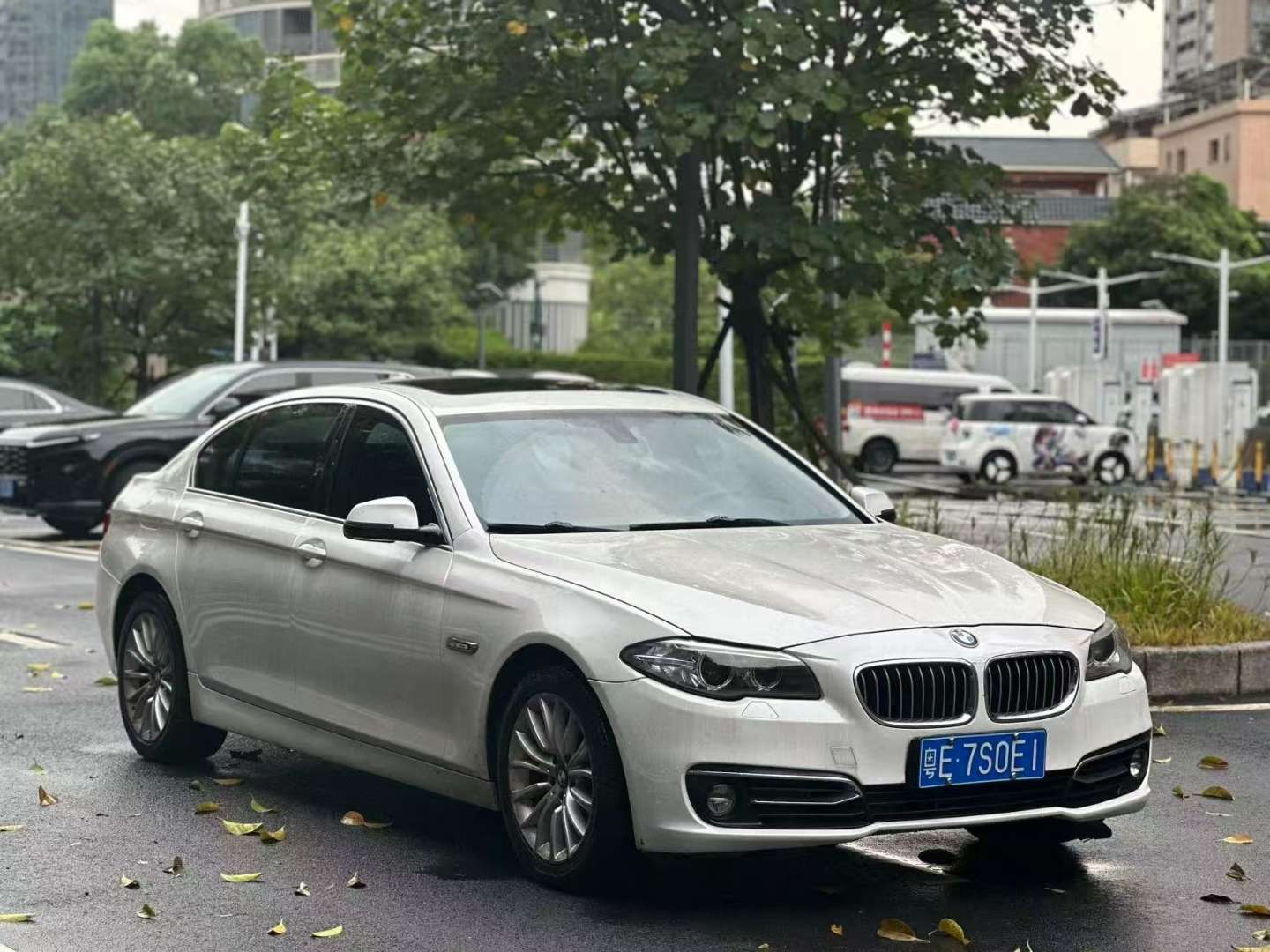 BMW 5 Series 2.0T Luxury Design Package