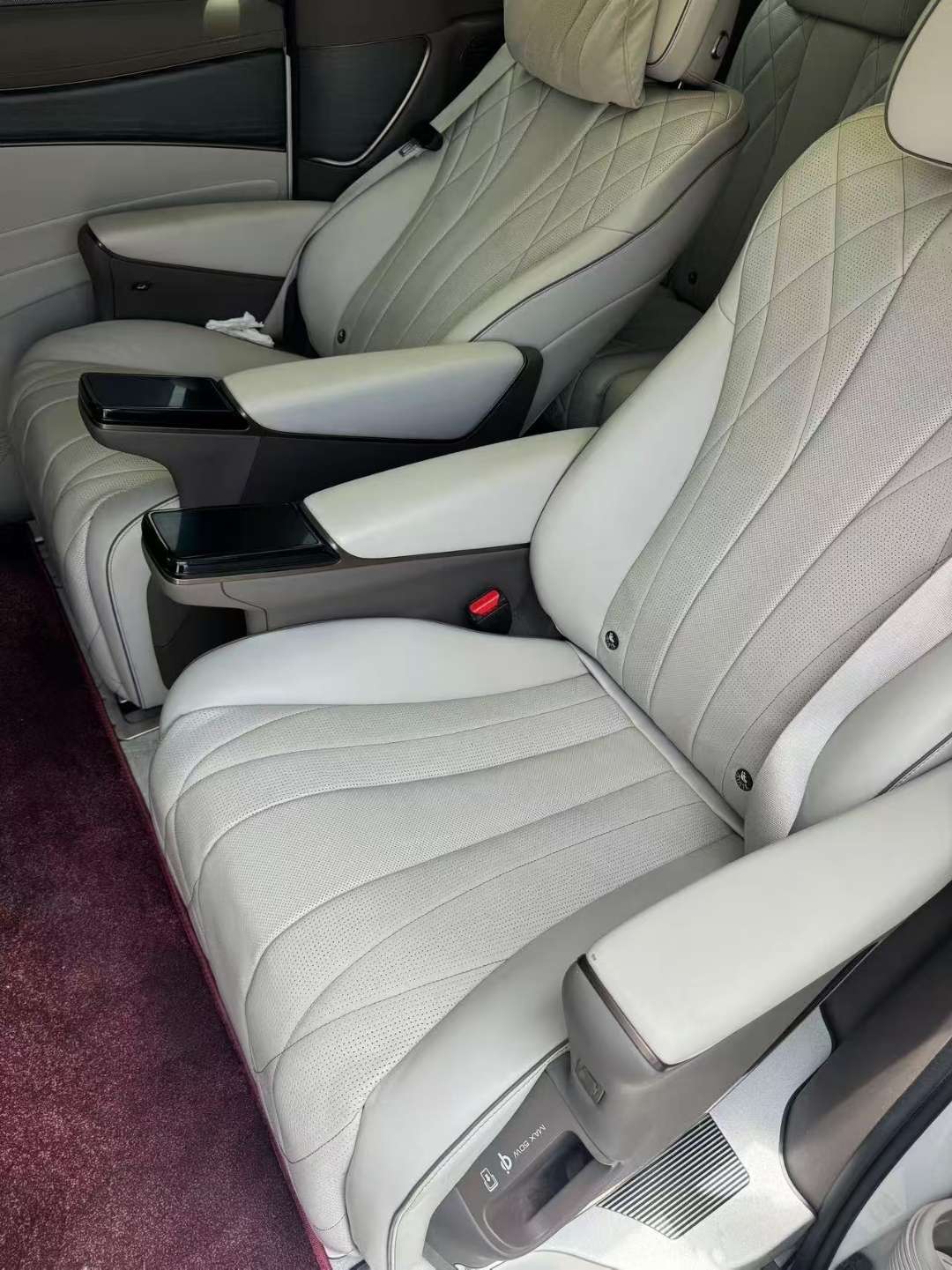 Denza D9 1.5T AWD Flagship Top Trim 8